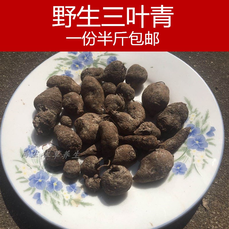 金丝草-特价促销-优惠券领取-价格|多少钱|什么牌子好-35优惠券网站