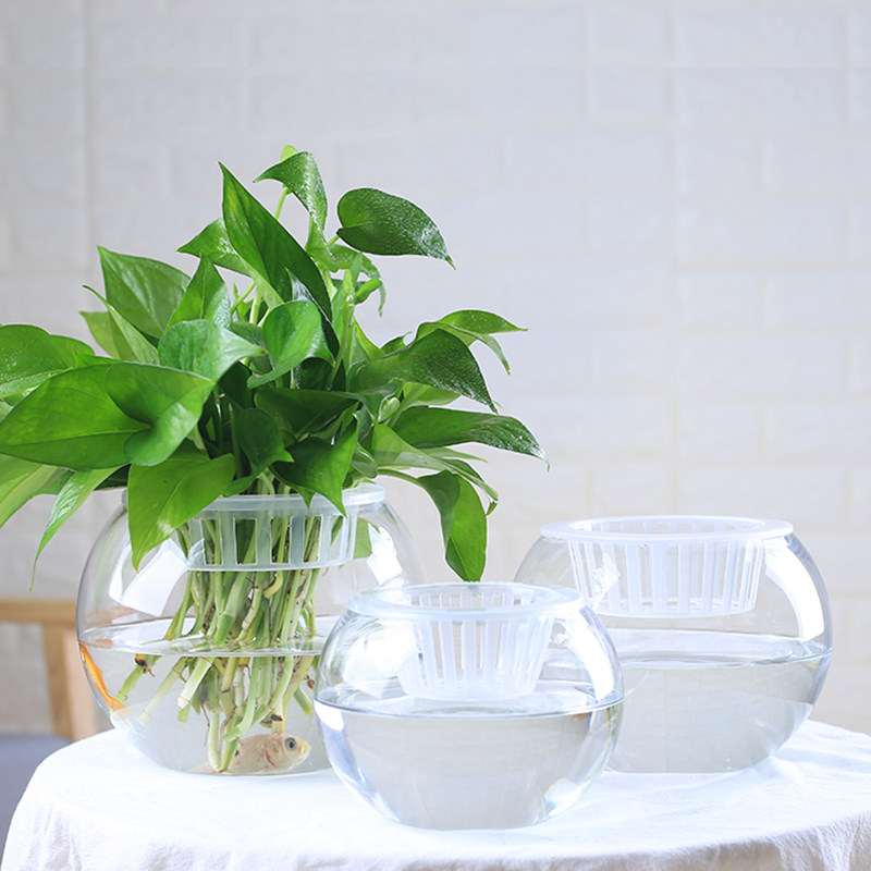 简约大号玻璃花瓶透明水培绿萝植物玻璃瓶水养铜钱草花盆鱼缸器皿