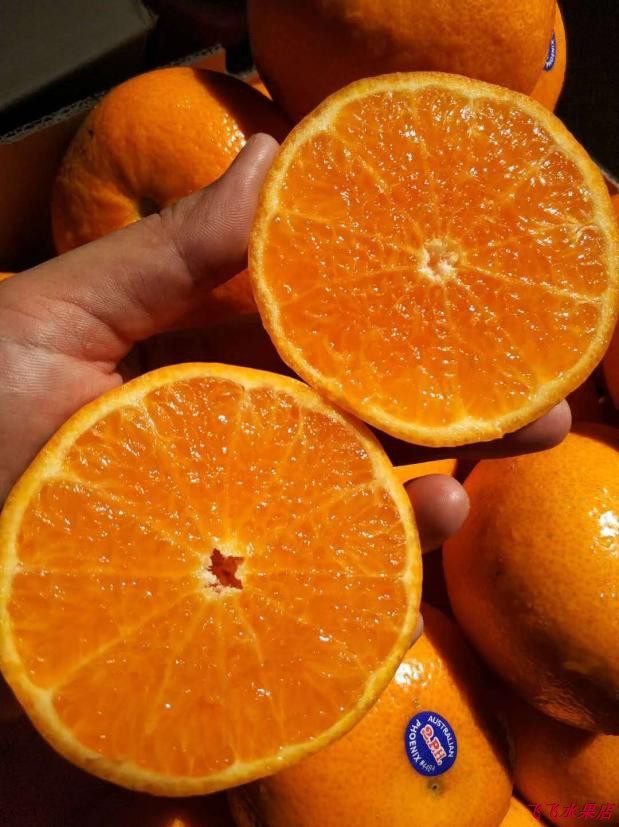 澳柑新鲜水果