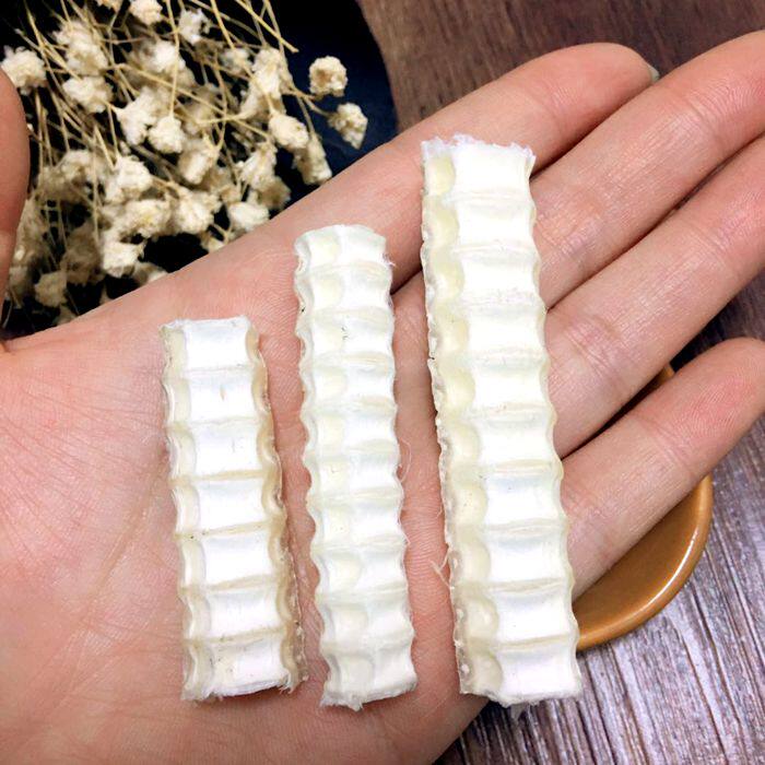 花枝鼠仓鼠啮齿小动物磨牙棒纯天然鲨鱼骨预防肿瘤强化骨骼抗衰老