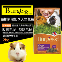 全国包邮进口Burgess布格斯黑加仑荷兰猪粮豚鼠主粮天竺鼠饲料2kg