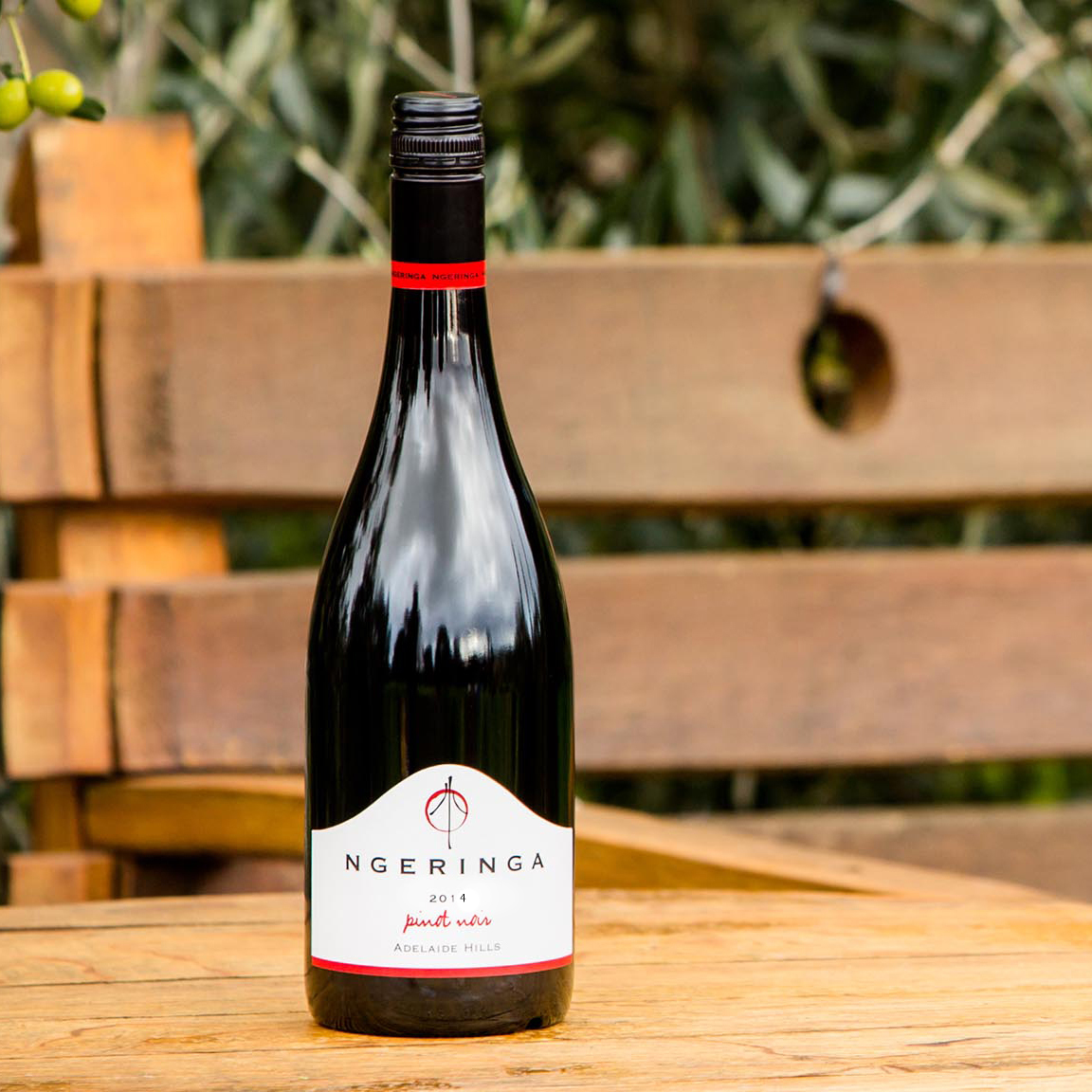 生物动力法 ngeringa黑比诺黑皮诺干红pinot noir葡萄酒 小众酒