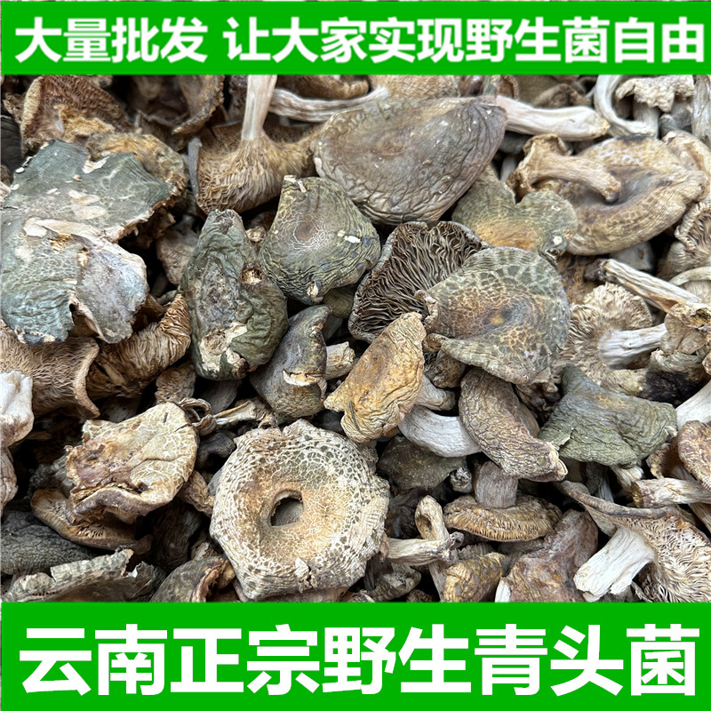 【施味源野生菌】云南特产纯天然青头菌干货100克山珍美味蘑菇