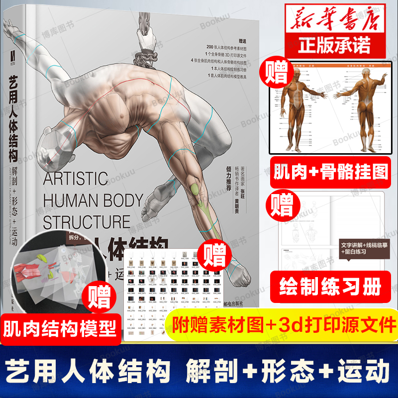 艺用人体结构 解剖形态运动 刘庆行