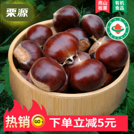 栗源有机板栗2019年燕山新鲜生板栗5斤散装大栗子河北特产批发