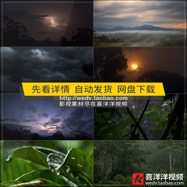 C045森林雷雨闪电天气下雨乌云狂风暴雨电闪雷鸣高清实拍视频素材