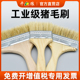 猪毛毛刷除尘软毛清洁工业小正宗猪毛鬃毛刷工业用油漆刷子不掉毛