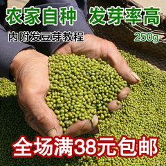 绿豆  发豆芽绿豆粥小l绿豆明绿豆粗粮沂蒙山农家杂粮  250g