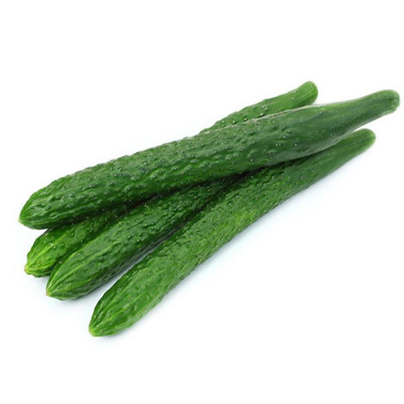 农家现摘现发黄瓜新鲜水果刺黄瓜大黄瓜绿色蔬菜5斤装包邮