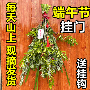 端午节艾草门挂新鲜采摘菖蒲挂大门装饰挂件挂饰驱蚊整颗野生