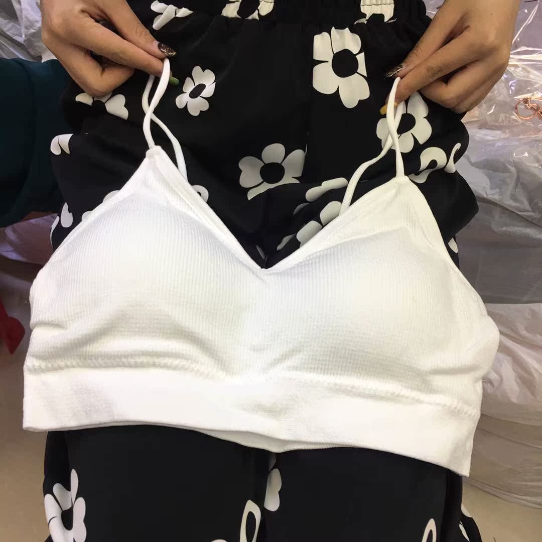 8820【内衣品牌】纯棉运动内衣在类目 女士内衣/男士内衣/家居服, 抹胸中 - 来自Buy2taobao.com提供专业的淘宝代购服务