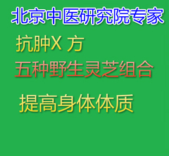 长白山野生灵芝 桑黄 裂蹄 桦褐等 中院开方 一个疗程