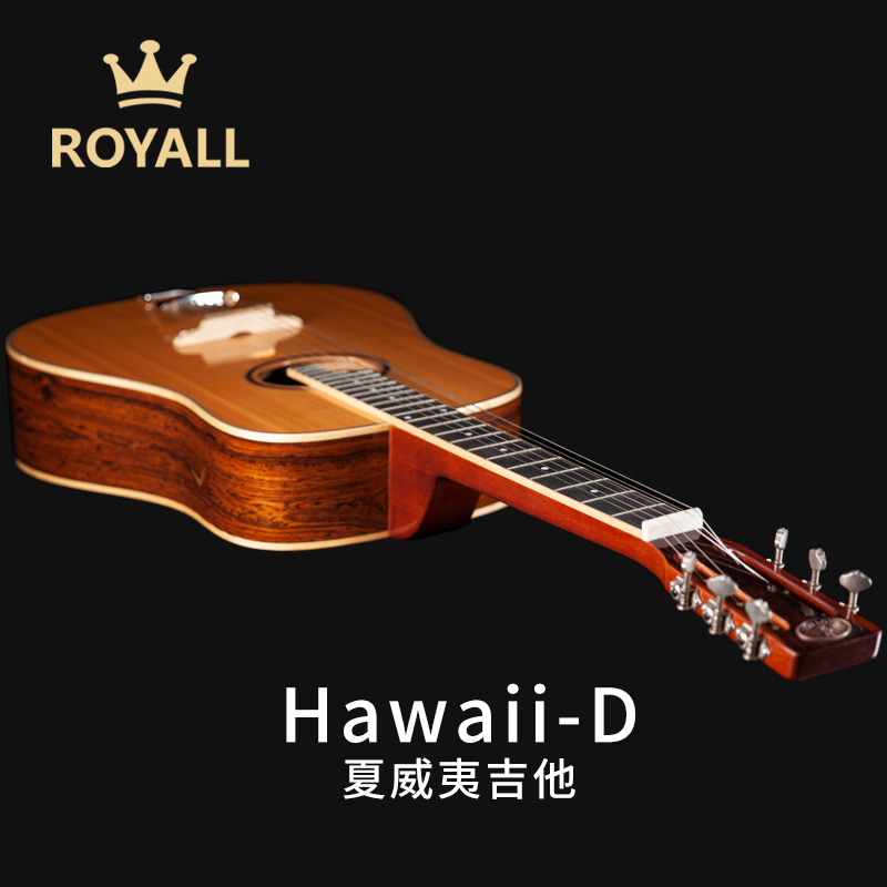 royall 夏威夷吉他滑棒吉他hawaii guitar方琴颈lapsteel横着弹