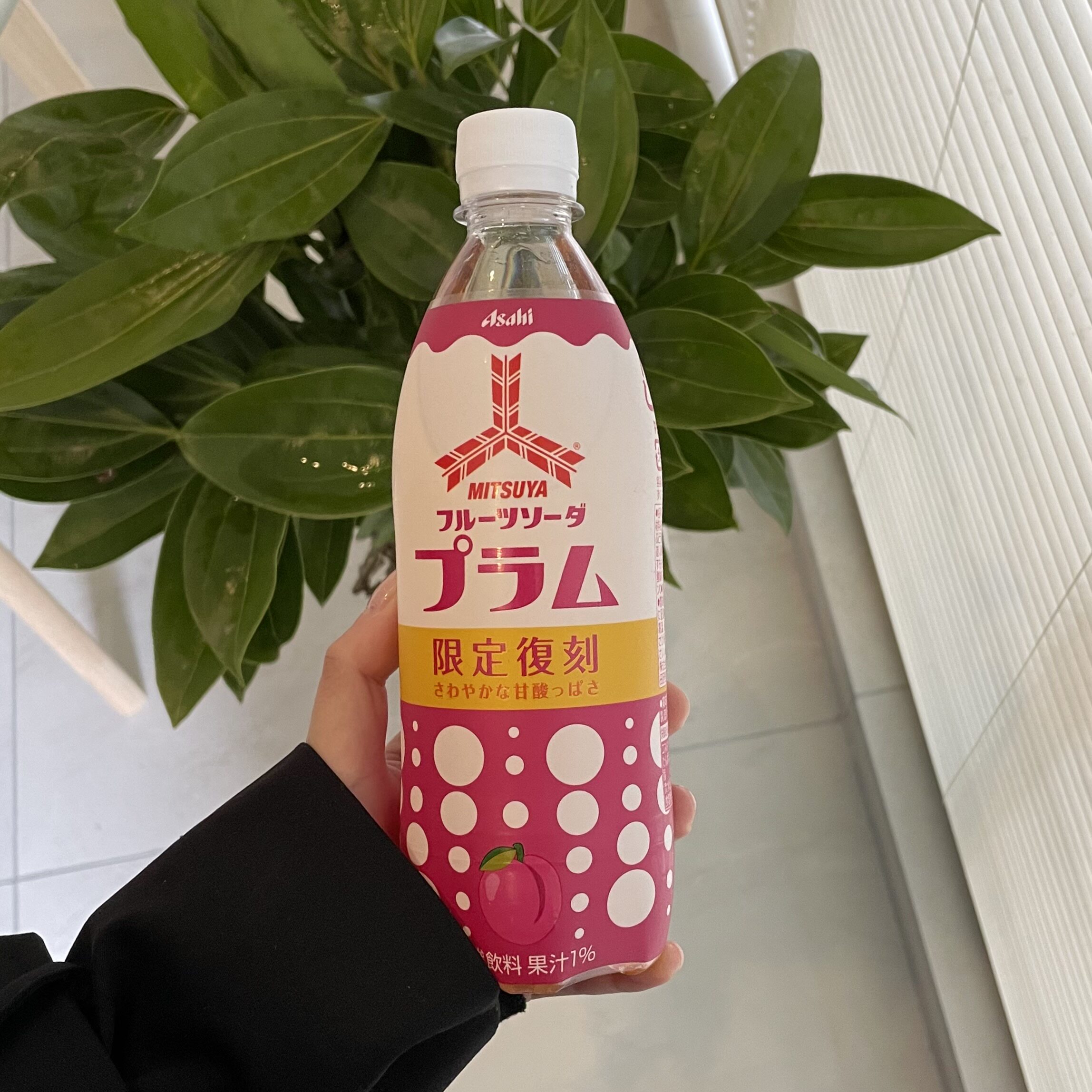 日本进口饮料朝日三矢李子水果果味汽水500ml果味