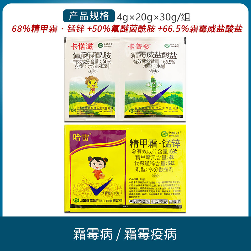 卡诺滋卡普多 50%氟醚菌酰胺卡卡哈组合黄瓜人参霜霉病疫病杀菌剂