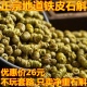 正宗铁皮石斛枫斗铁皮石斛种植石斛颗粒100g500g包邮可直播磨粉