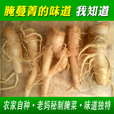 农家特产自制腌咸菜特色新鲜蔓菁蛮茎3斤芜菁大头菜盘菜甜疙瘩