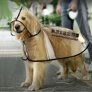 宠动员狗狗雨衣防水衣服全包金毛拉布拉多中型大型犬萨摩宠物大狗