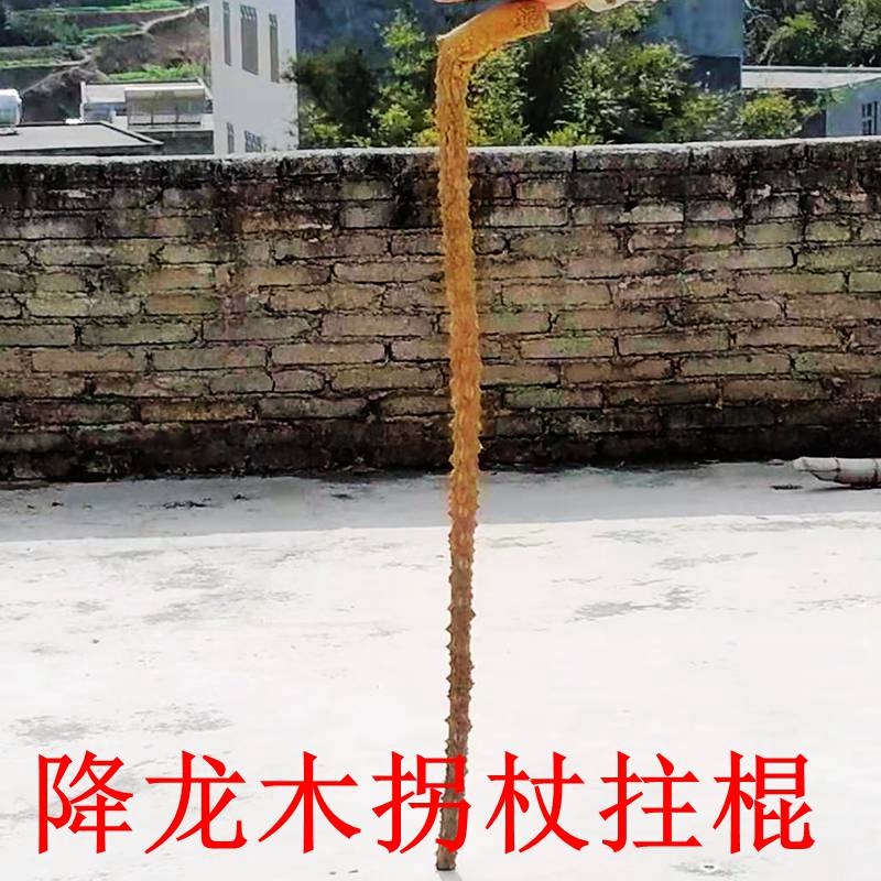 降龙杖