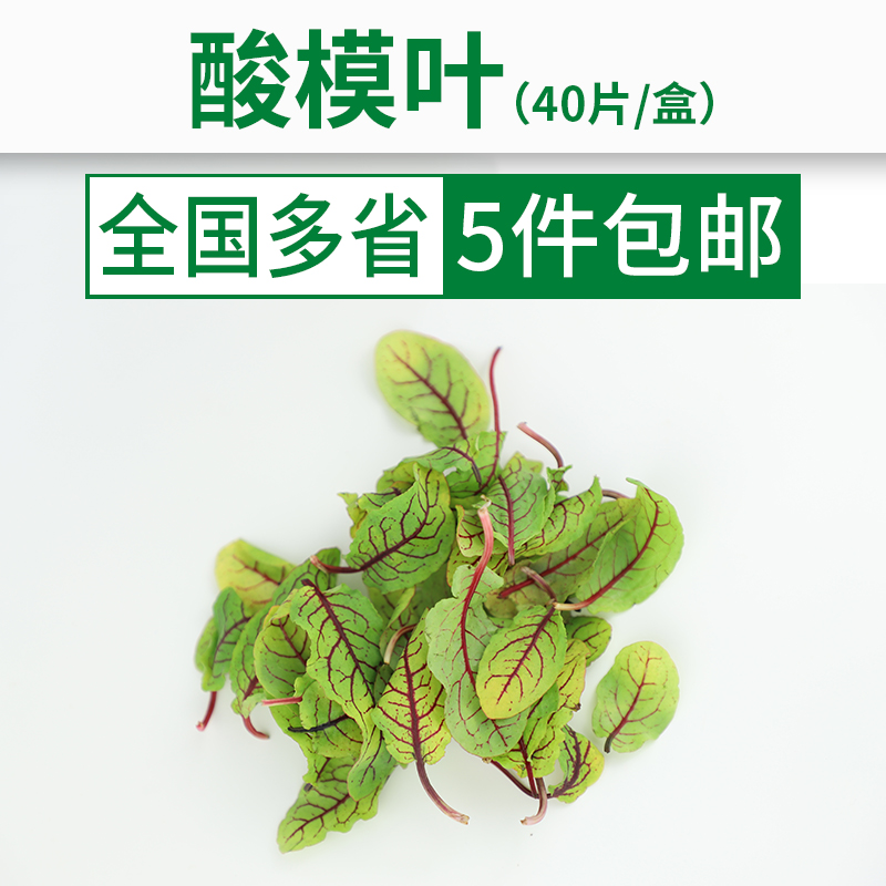 【包生鲜】新鲜酸膜叶约30片 红酸膜草网纹草 酸模 可