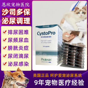 沙司多保英国cystopro犬猫狗泌尿痛利尿通结石尿频尿血感染膀胱炎