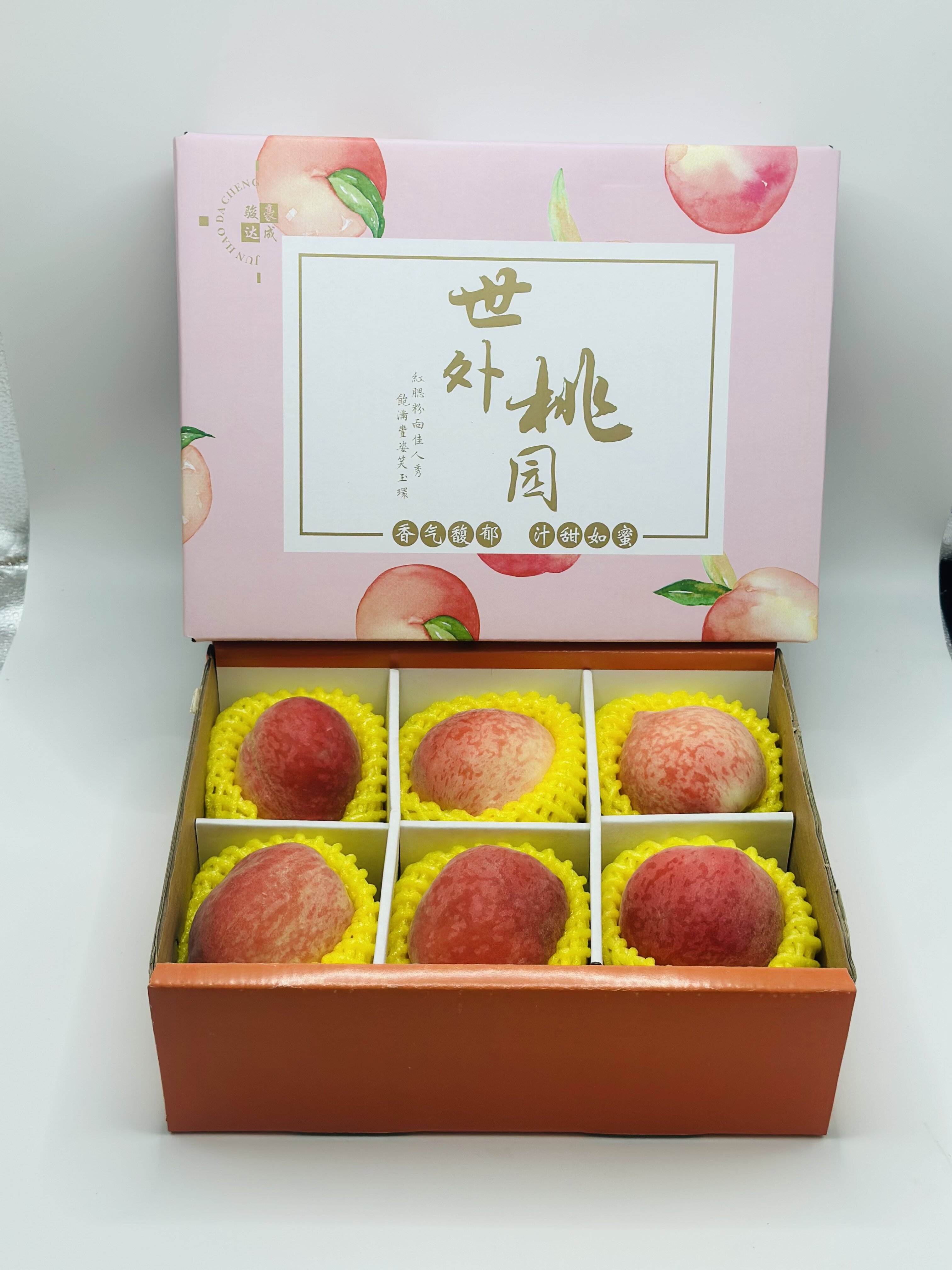 桃源官方网站建设(桃源正式版官方网站)