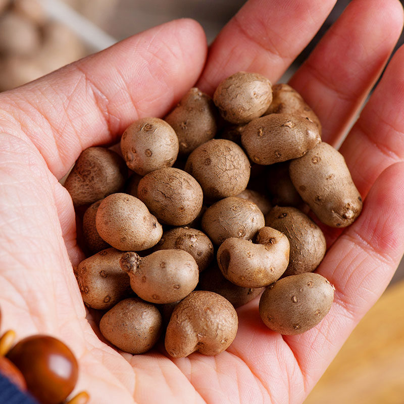 温县铁棍山药豆 河南焦作特产怀 淮山药豆 山药果 5斤装 包邮