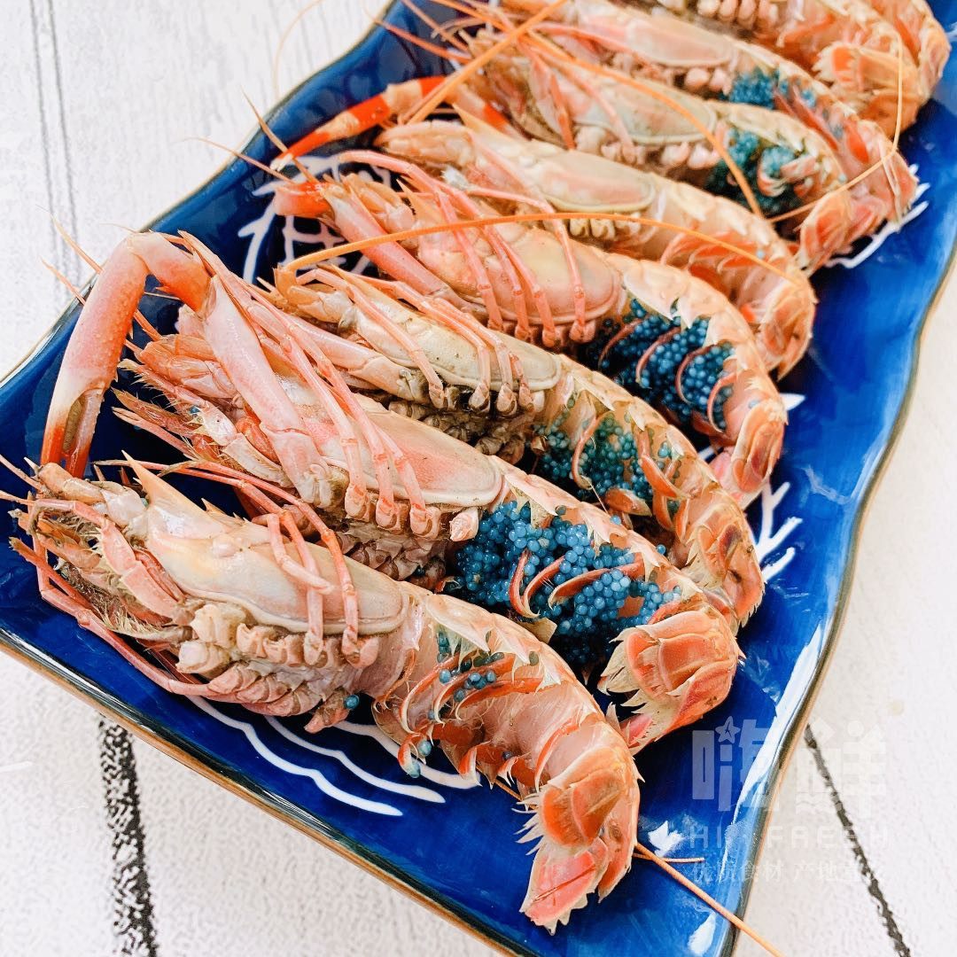 3斤舟山海龙虾海鳌虾刺身斯干比scampi大号规格海龙虾鳌虾海产