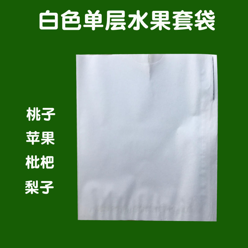 无花果袋樱桃袋人参果套袋草莓育果袋青枣果袋防水防虫 100个袋子在类目 鲜花速递/花卉仿真/绿植园艺, 园艺用品, 其它园艺用品中 - 来自Buy2taobao.com提供专业的淘宝代购服务