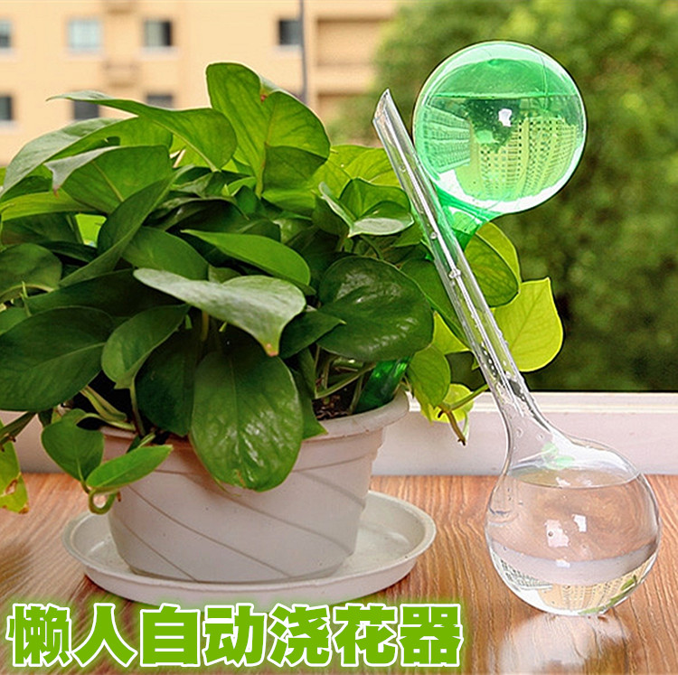 仿玻璃圆球浇花器 旅行自动浇水壶 懒人滴管浇水器 花卉园艺工具|msdalam kategori barangan pertanian, 园林养护物资, 可移动滴灌袋 - dari Buy2taobao.com untuk memberikan perkhidmatan ejen Taobao profesional membeli