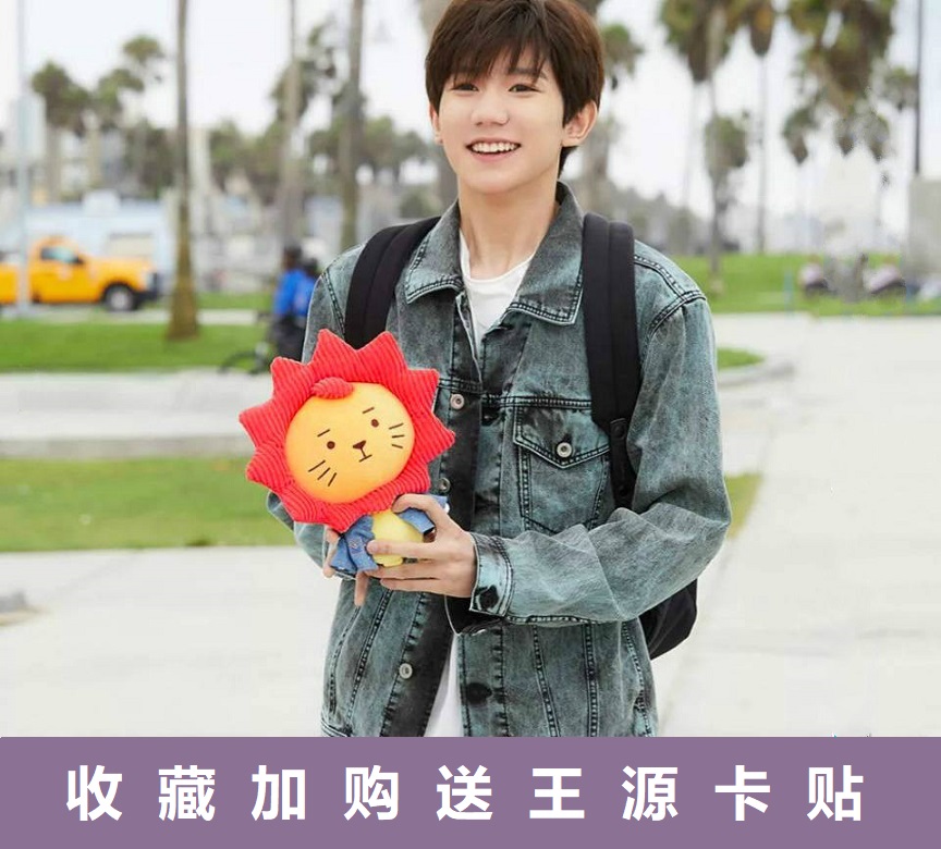 莱阳公仔 王源 同款应援物roy6源设计公仔毛绒玩偶生日礼物 女生