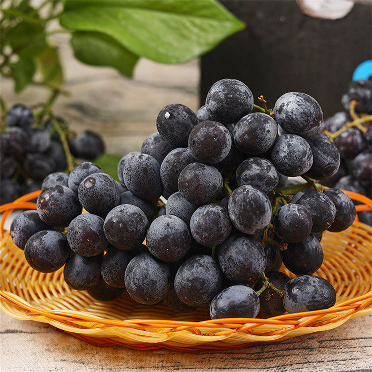 乐鲜果园智利玫瑰香无籽黑提2斤超甜进口提子葡萄当季时令水果