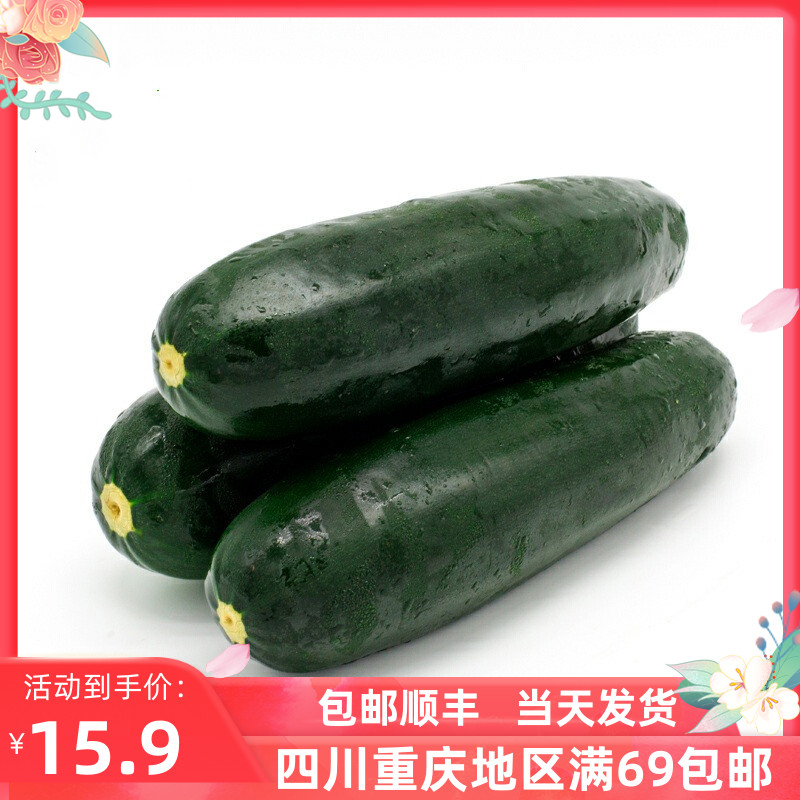 新鲜意大利 青节瓜 青瓜 西葫芦即食沙拉蔬菜西餐香料小南瓜 500g