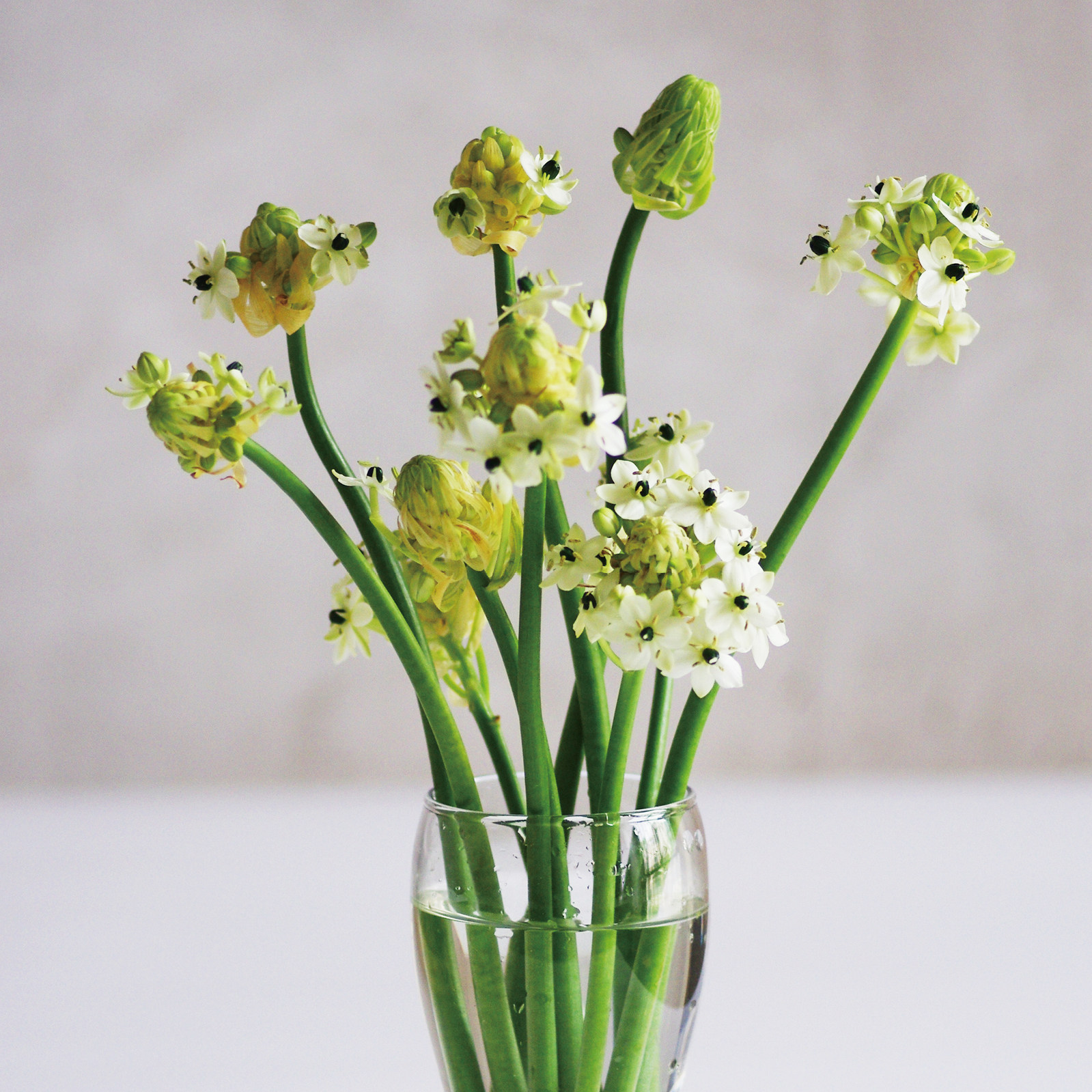 鲜花花束高端排行榜