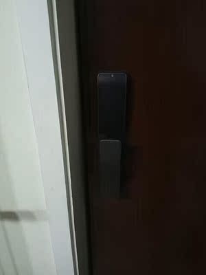 讨论【评测说说】普泰升指纹锁怎么样,质量如何?方便好用吗