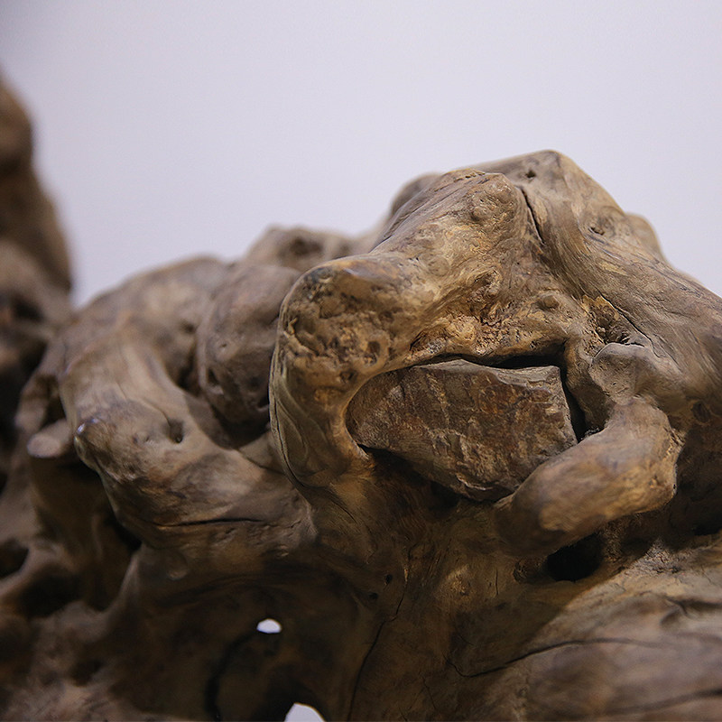 自然风化老根狮子清供摆件 天然根抱石 96cm长难得气场宏大