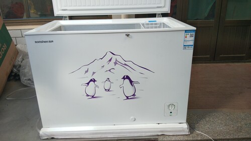 容声bd/bc-309md冷柜商用家用保鲜冷藏冷冻卧式冰柜商用大容量