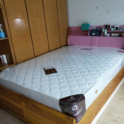 目前看来<参考>爱舒床垫和喜临门哪个更好，哪一个牌子比较大？