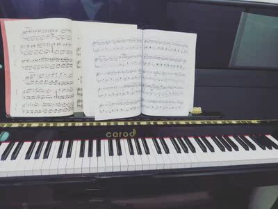 很少听过的这款哈农立式钢琴怎么样？热心网友曝光啦！