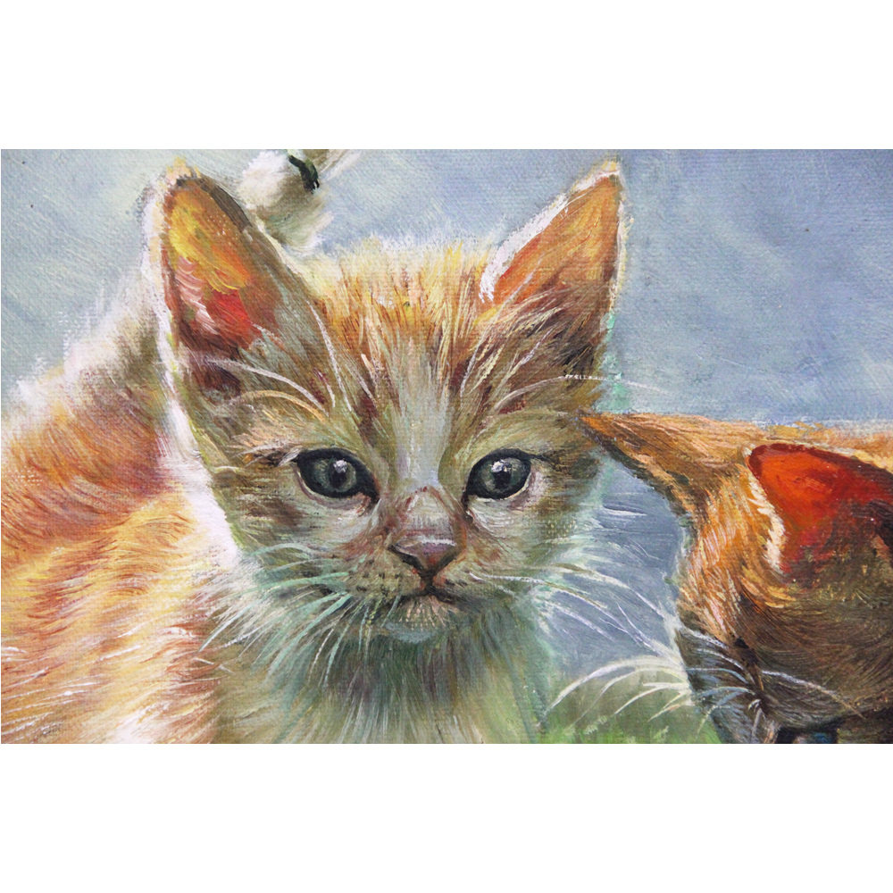 朝鲜一级艺术家 沈成镇《猫》动物油画 装饰收藏c2595