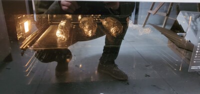 帮忙看看:design Arda蒸烤箱怎么样?到底入手值还是不值呢?