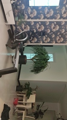 健身爱好者评测下莫比划船机好不好？一个月后真实感受