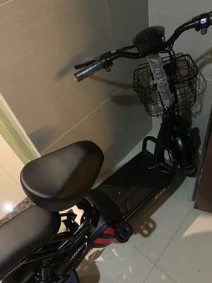 【对比】正步电动自行车好还是喜德盛好?优缺点有哪些？