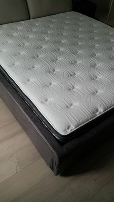 舒达海豚乳胶怎么样？质量如何？亲身使用2个月真实揭秘