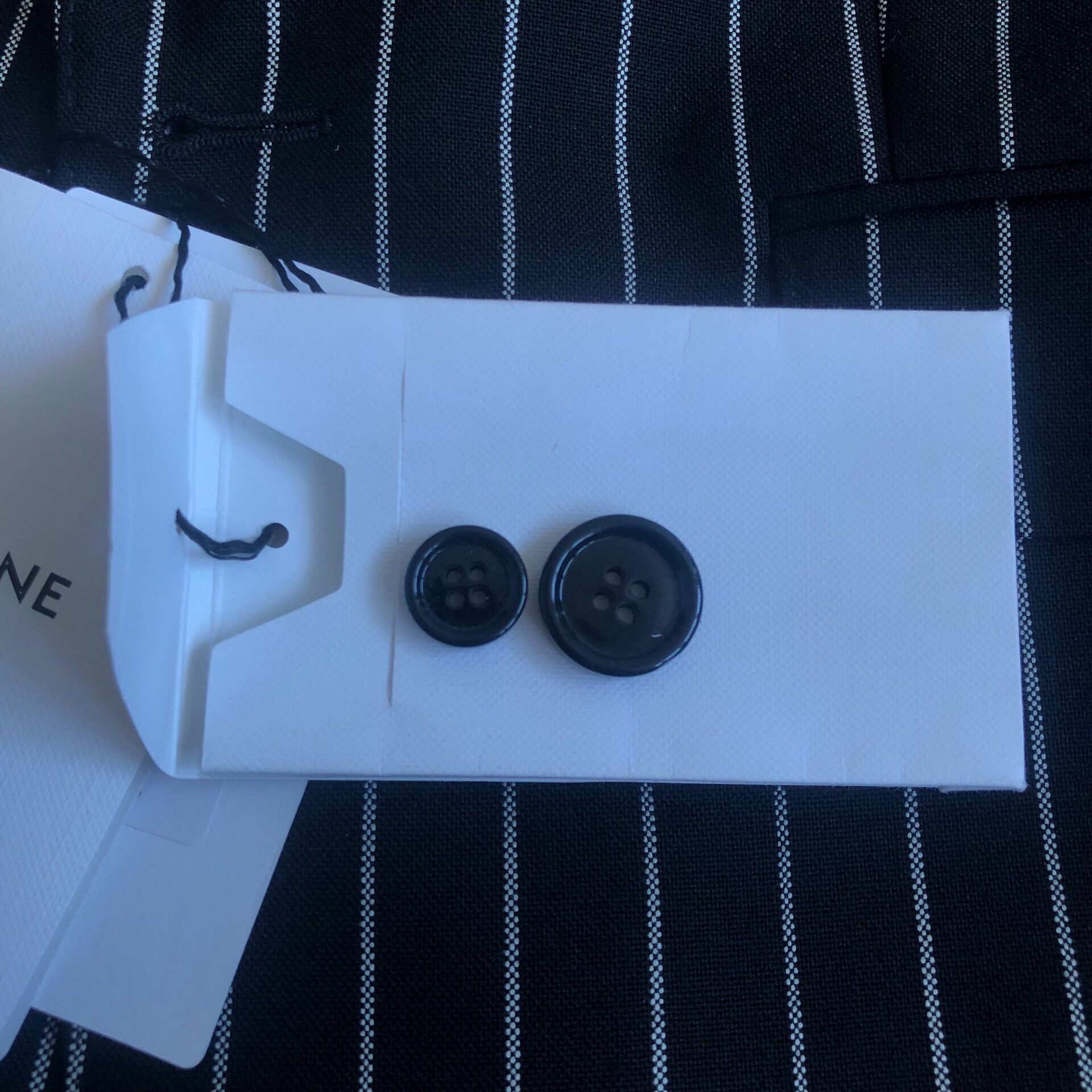 Celine Striped Wool Blazer — back