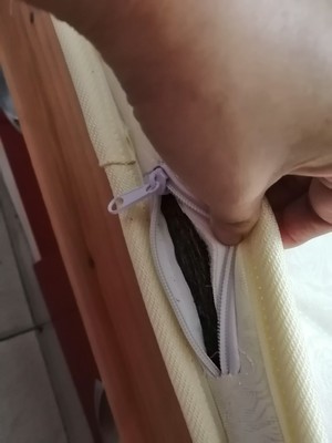 新人求助欧拉朵乳胶床垫怎么样？测评后感受分享