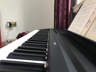 目前很多人用的珠江艾茉森电钢琴怎么样，适合初学者吗？