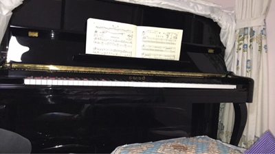 很少听过的这款哈农立式钢琴怎么样？热心网友曝光啦！