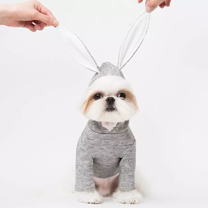 韩国sniff狗狗的兔子耳朵帽衫超级可爱哦！