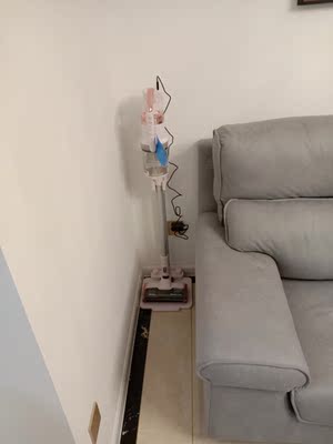 戴森吸尘器在哪儿买?在哪买便宜??用后16天不吹不黑说内幕